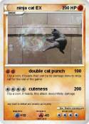ninja cat EX