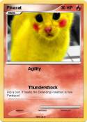 Pikacat