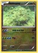 Wobbegong