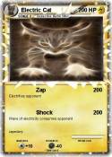 Electric Cat