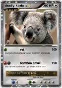 deadly koala