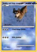 husky est trop