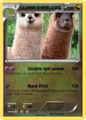 LLAMA OVERLOAD