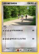 LES MOTARDS