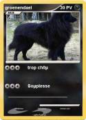 groenendael