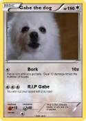 Gabe the dog