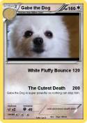 Gabe the Dog