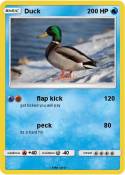 Duck