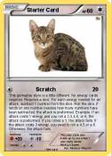 Starter Card
