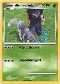 berger allemand