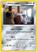 electric mane