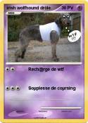 irish wolfhound