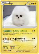 Pup