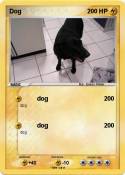 Dog