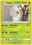 Flower