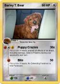 Barley T. Bear