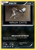 Ninja Cat