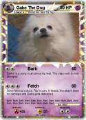 Gabe The Dog