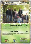 Wolfplante