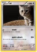 cat