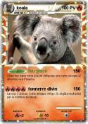koala