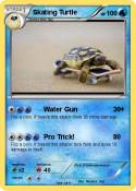 Skating Turtle