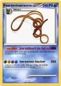 Paardenhaarworm