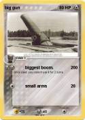 big gun