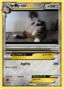 y cat