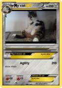 y cat