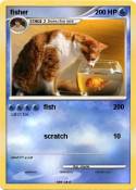 fisher