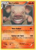 Big Cochon
