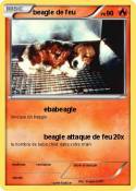 beagle de feu