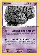 Cerveau