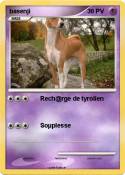basenji