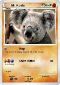 Mr. Koala