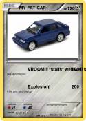 MY FAT CAR
