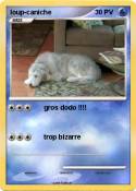loup-caniche
