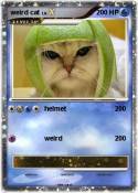 weird cat