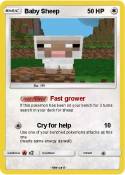 Baby Sheep