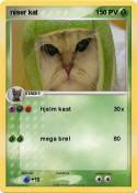 niser kat