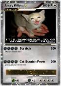 Angry Kitty