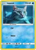 Aquacat