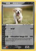 Dog GX