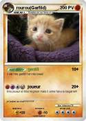 rourou(Garfild)