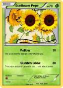 Sunflower Pepe