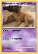 bullmastiff