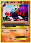 DJ MIX IT PUP