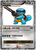 tigerninja12