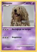 komondor